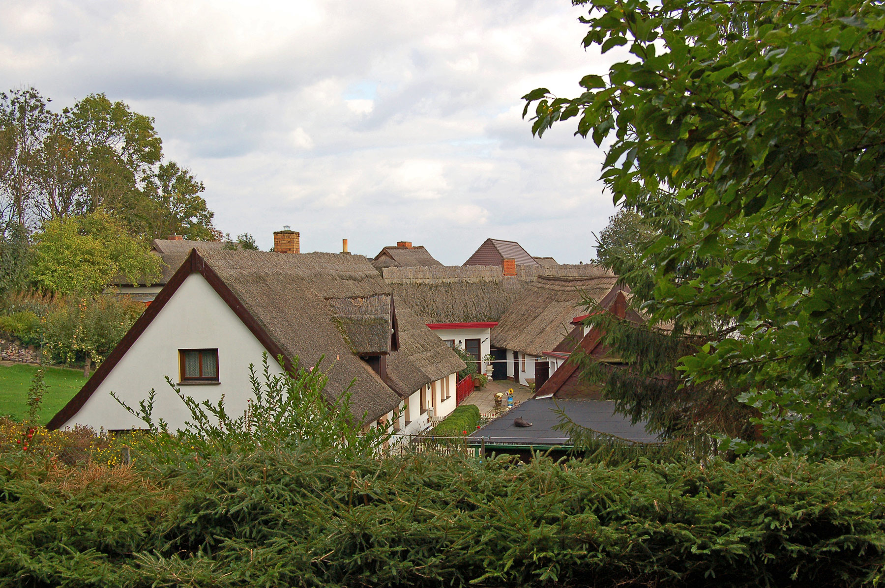 Arkona